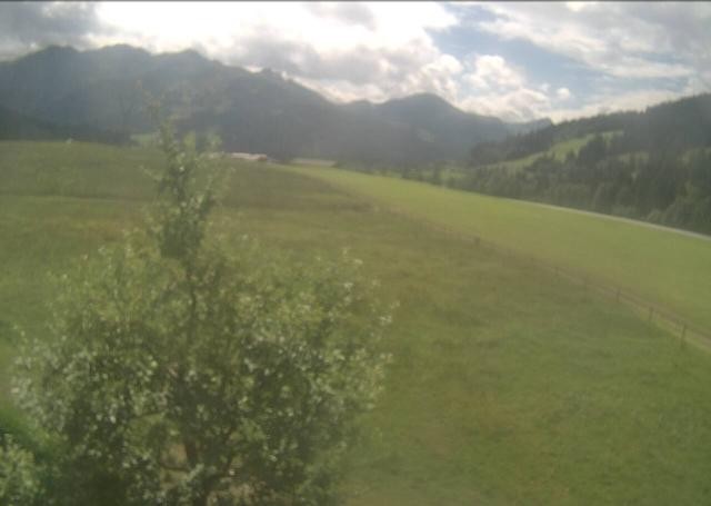 Archived image Webcam Hochfilzen, Tyrol