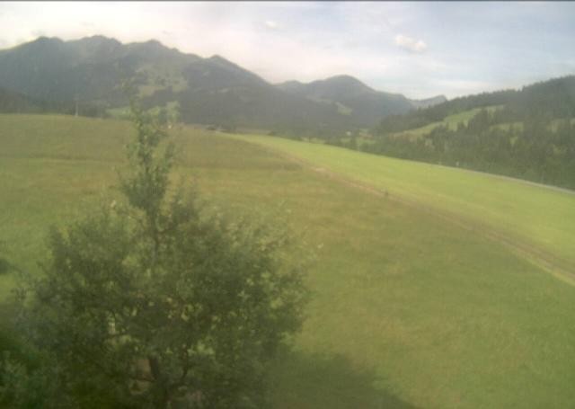 Archiv Foto Webcam Hochfilzen, Tirol
