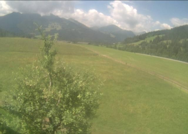 Archiv Foto Webcam Hochfilzen, Tirol
