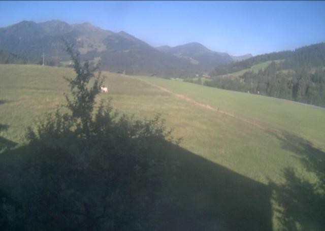 Archiv Foto Webcam Hochfilzen, Tirol