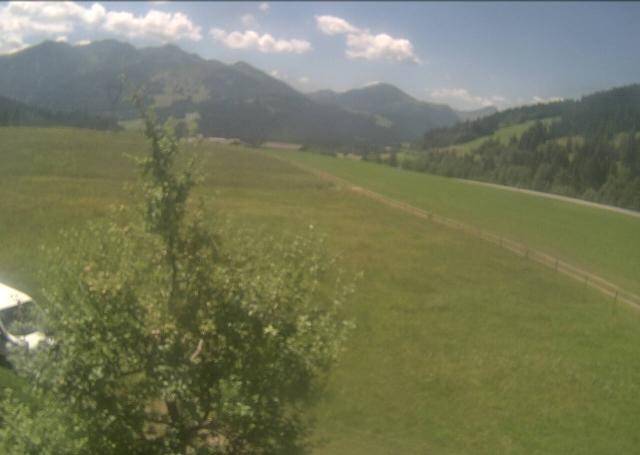 Archiv Foto Webcam Hochfilzen, Tirol