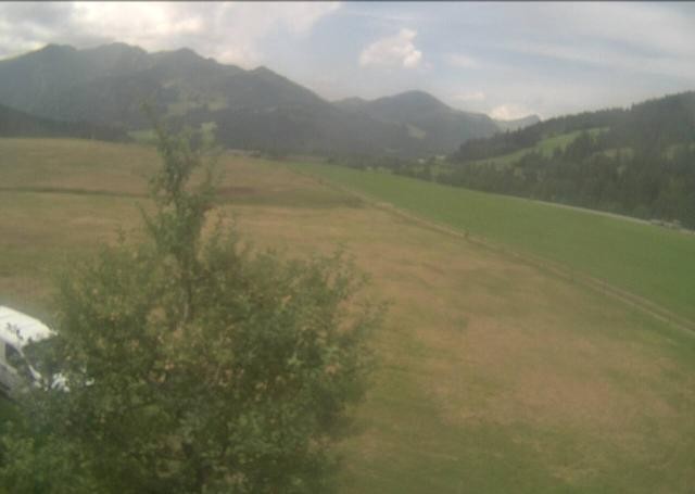Archiv Foto Webcam Hochfilzen, Tirol