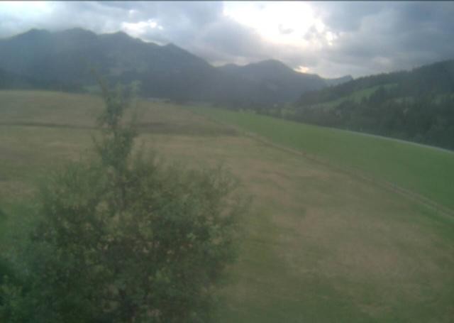 Archiv Foto Webcam Hochfilzen, Tirol
