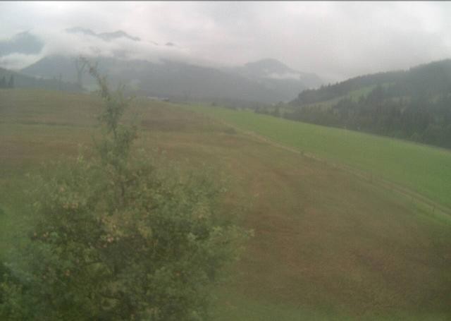 Archiv Foto Webcam Hochfilzen, Tirol