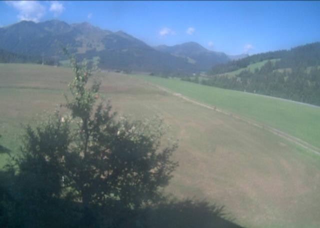 Archiv Foto Webcam Hochfilzen, Tirol