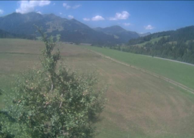 Archiv Foto Webcam Hochfilzen, Tirol