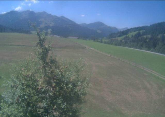Archiv Foto Webcam Hochfilzen, Tirol