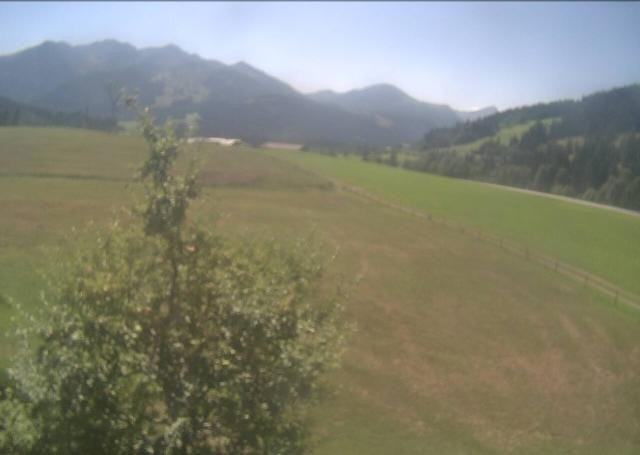 Archiv Foto Webcam Hochfilzen, Tirol