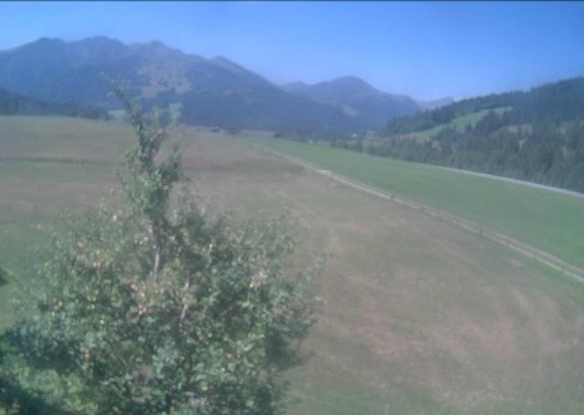 Archiv Foto Webcam Hochfilzen, Tirol