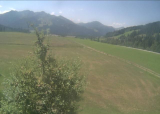 Archiv Foto Webcam Hochfilzen, Tirol
