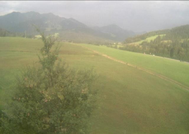 Archiv Foto Webcam Hochfilzen, Tirol