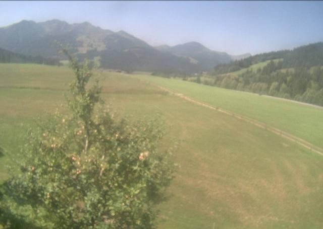 Archiv Foto Webcam Hochfilzen, Tirol