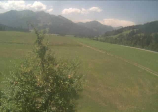 Archiv Foto Webcam Hochfilzen, Tirol