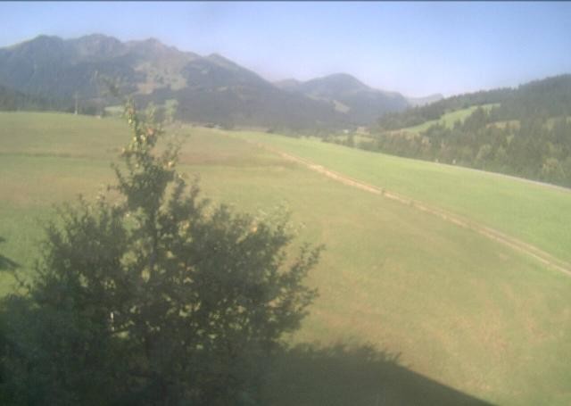 Archiv Foto Webcam Hochfilzen, Tirol
