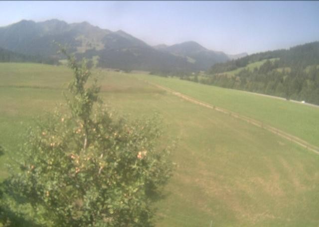 Archiv Foto Webcam Hochfilzen, Tirol