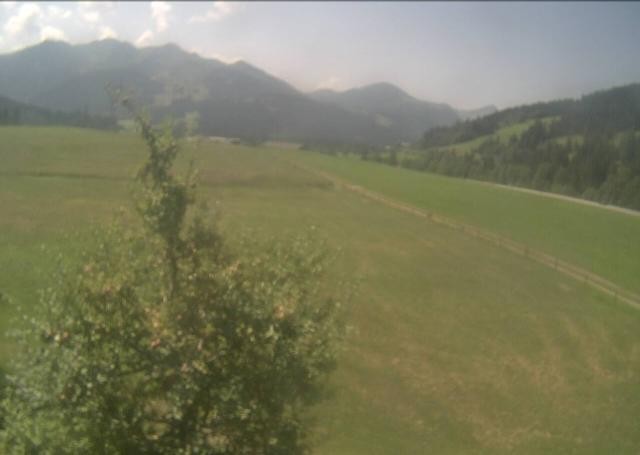 Archiv Foto Webcam Hochfilzen, Tirol