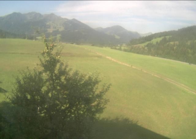 Archiv Foto Webcam Hochfilzen, Tirol
