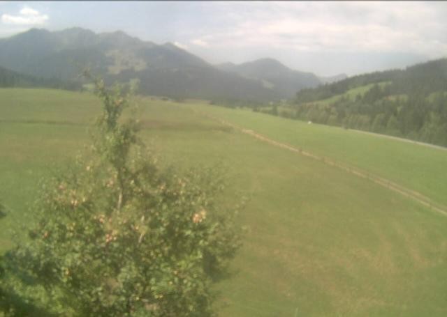 Archiv Foto Webcam Hochfilzen, Tirol