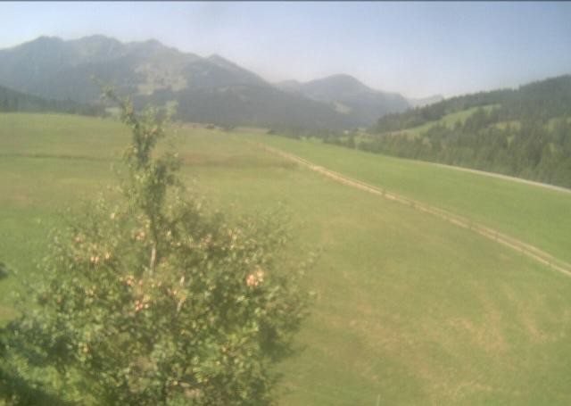 Archiv Foto Webcam Hochfilzen, Tirol