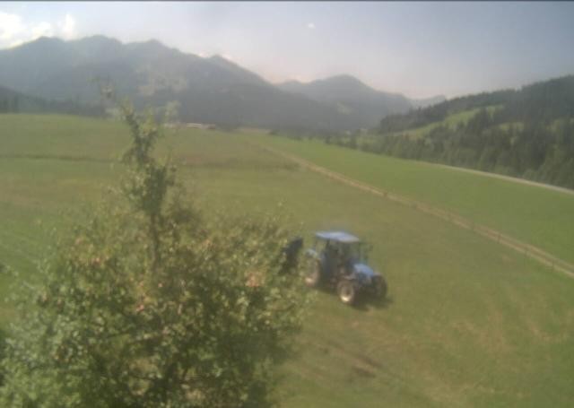Archiv Foto Webcam Hochfilzen, Tirol