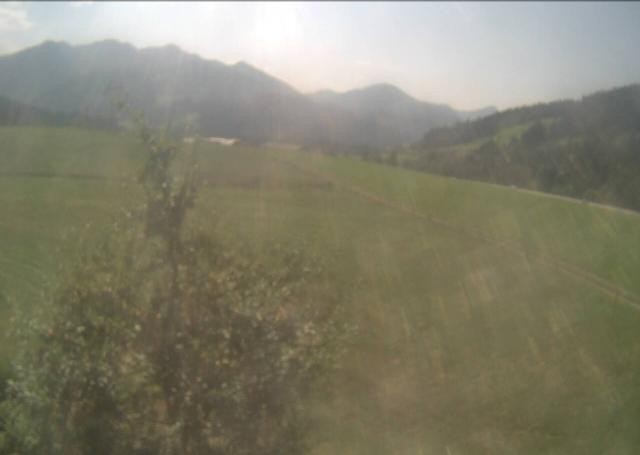 Archiv Foto Webcam Hochfilzen, Tirol