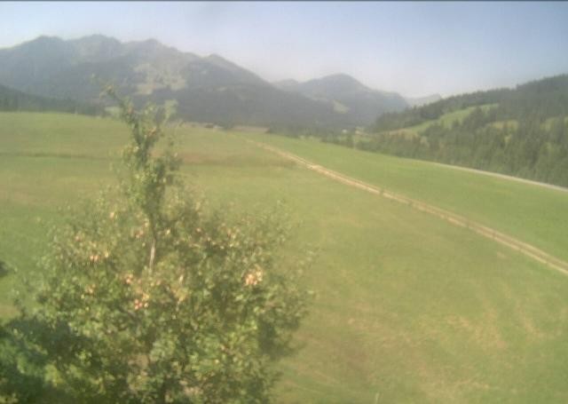 Archiv Foto Webcam Hochfilzen, Tirol