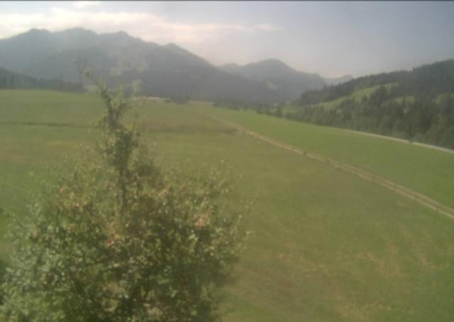 Archiv Foto Webcam Hochfilzen, Tirol