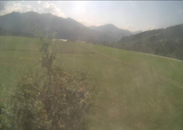 Archiv Foto Webcam Hochfilzen, Tirol