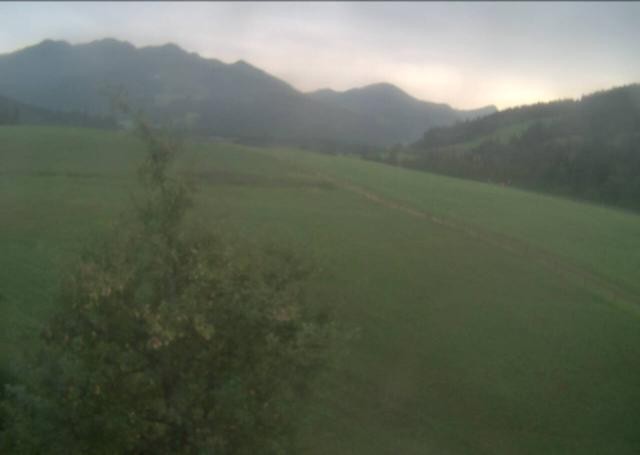 Archiv Foto Webcam Hochfilzen, Tirol