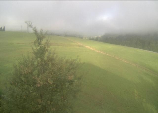 Archiv Foto Webcam Hochfilzen, Tirol