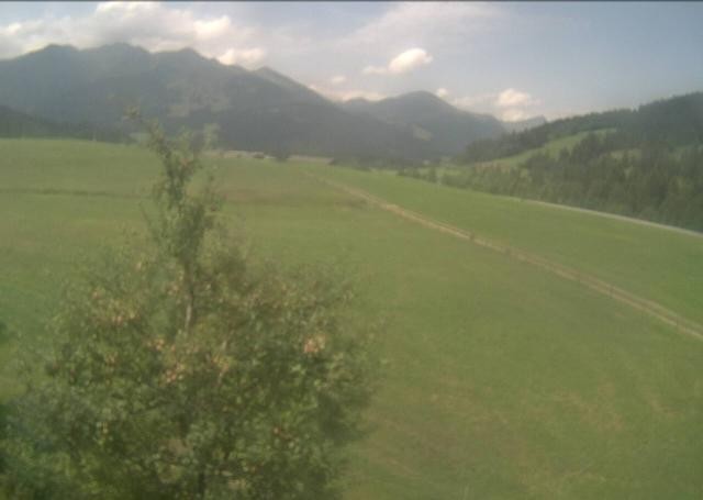 Archiv Foto Webcam Hochfilzen, Tirol