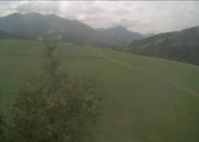 Archiv Foto Webcam Hochfilzen, Tirol