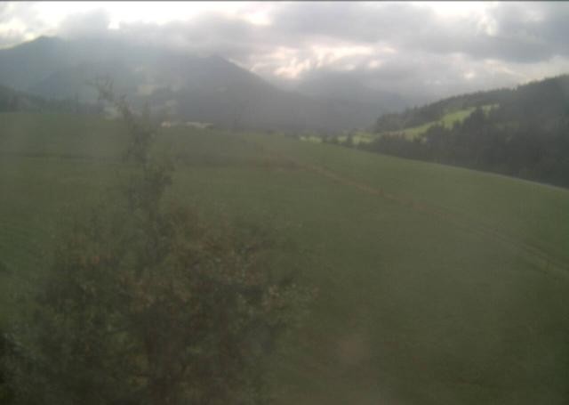 Archiv Foto Webcam Hochfilzen, Tirol