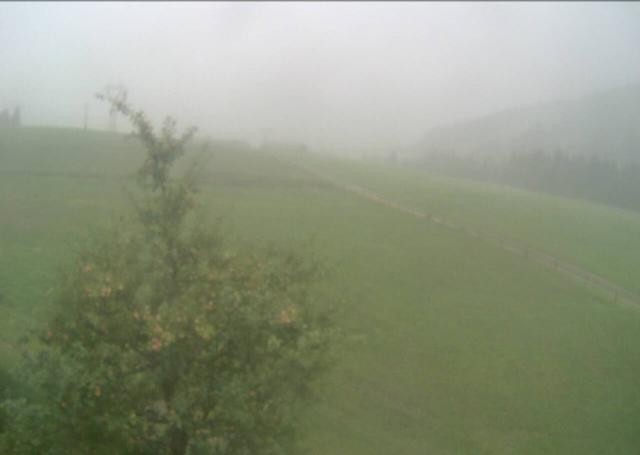 Archiv Foto Webcam Hochfilzen, Tirol