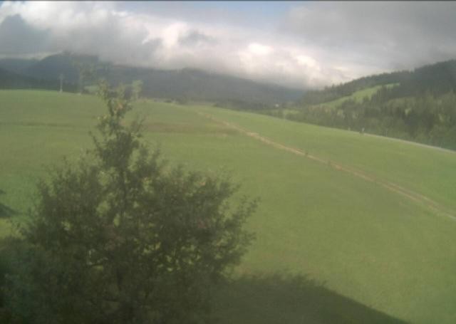 Archiv Foto Webcam Hochfilzen, Tirol