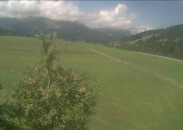 Archiv Foto Webcam Hochfilzen, Tirol