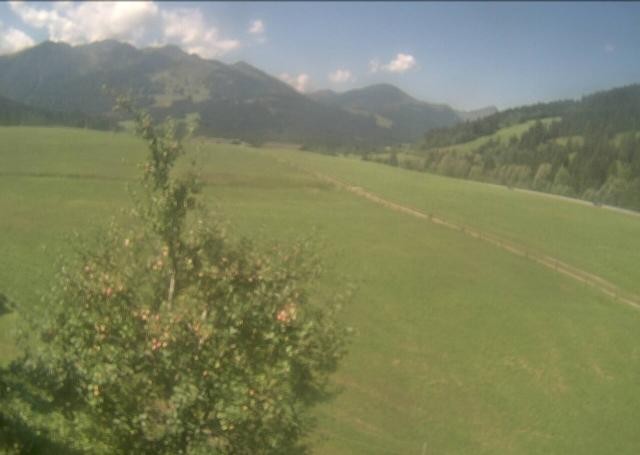Archiv Foto Webcam Hochfilzen, Tirol