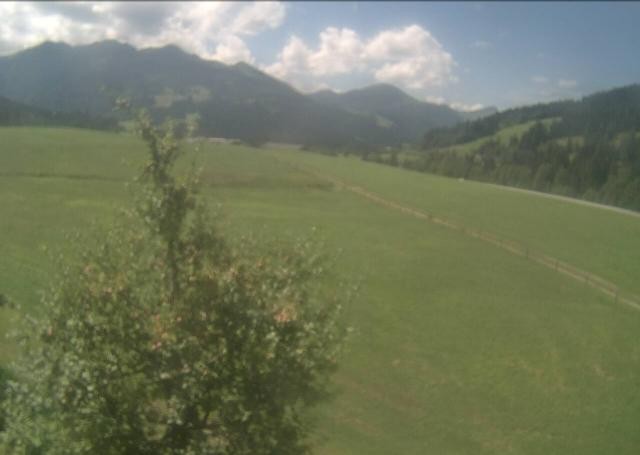 Archiv Foto Webcam Hochfilzen, Tirol