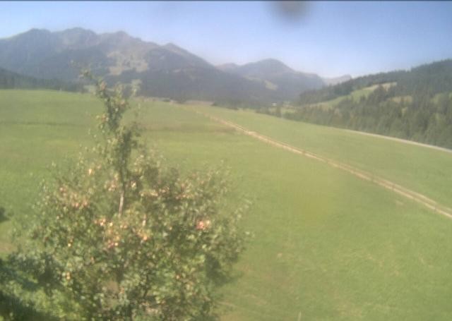 Archiv Foto Webcam Hochfilzen, Tirol