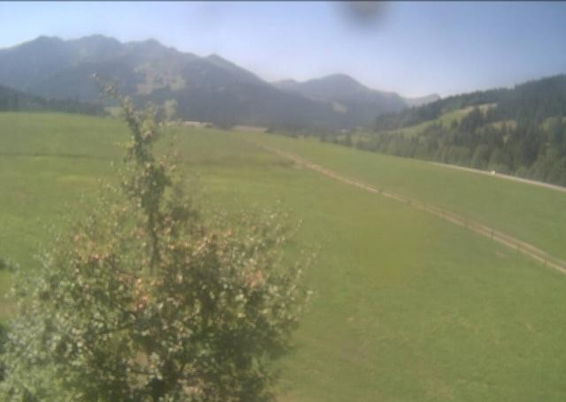 Archived image Webcam Hochfilzen, Tyrol