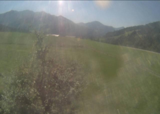 Archived image Webcam Hochfilzen, Tyrol