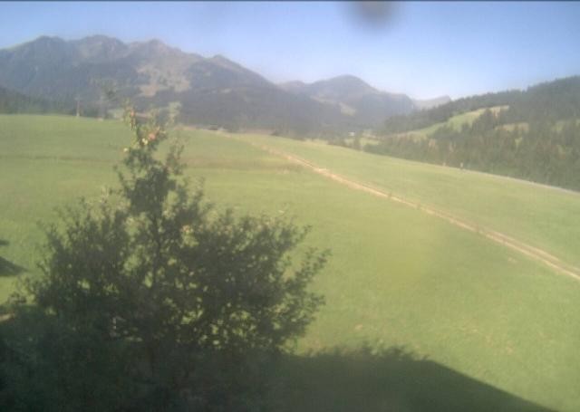 Archiv Foto Webcam Hochfilzen, Tirol