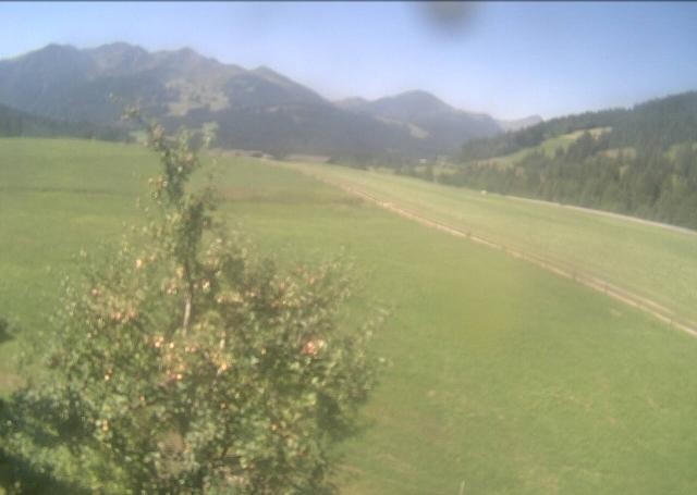 Archiv Foto Webcam Hochfilzen, Tirol