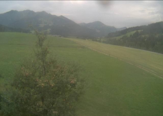 Archiv Foto Webcam Hochfilzen, Tirol