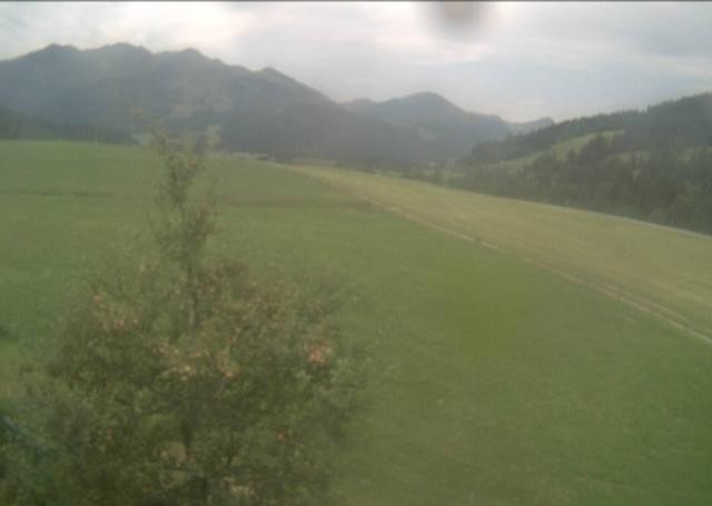 Archiv Foto Webcam Hochfilzen, Tirol