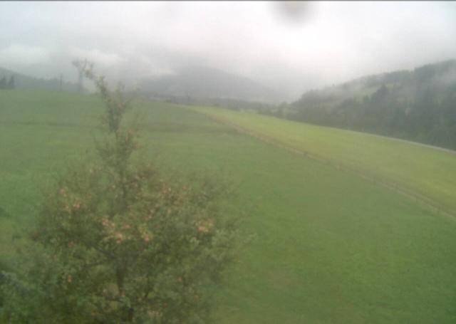 Archiv Foto Webcam Hochfilzen, Tirol