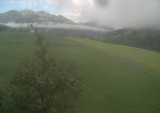 Archived image Webcam Hochfilzen, Tyrol