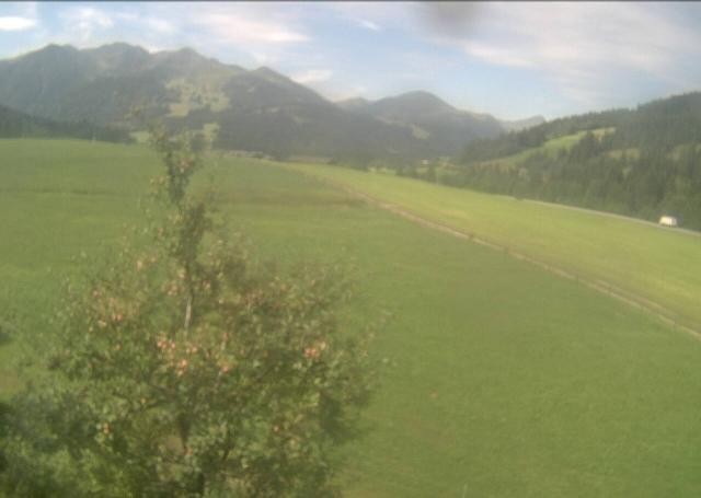 Archived image Webcam Hochfilzen, Tyrol