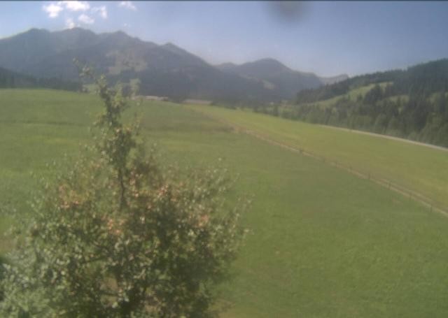 Archived image Webcam Hochfilzen, Tyrol