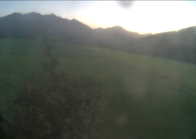 Archived image Webcam Hochfilzen, Tyrol
